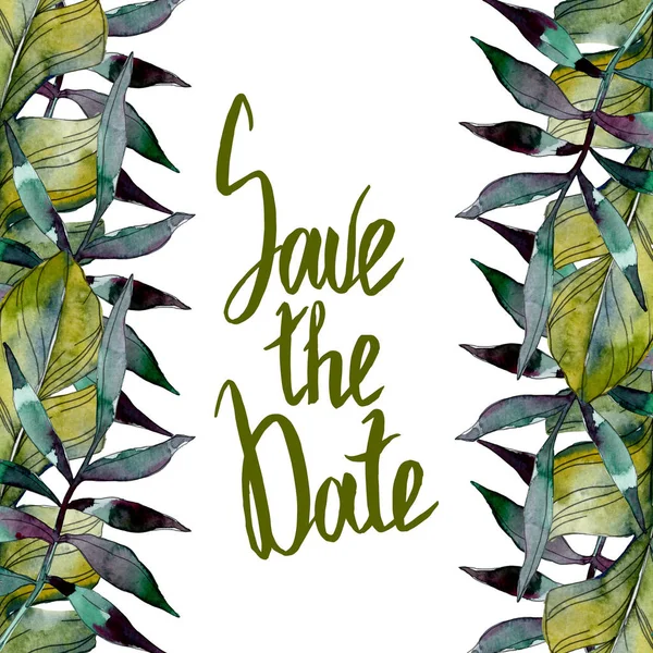 Green leaf plant botanical garden foliage. Exotic tropical hawaiian summer. Watercolor background illustration set. Watercolour drawing fashion aquarelle isolated. Frame border ornament square.