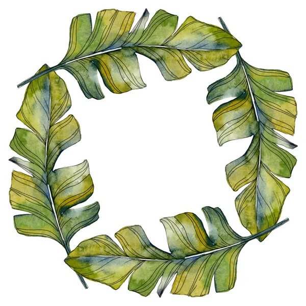 緑葉植物植物園紅葉 エキゾチックな熱帯のハワイアンの夏 水彩画背景イラスト セット 水彩描画のファッション Aquarelle 分離します フレーム枠飾りスクエア — ストック写真