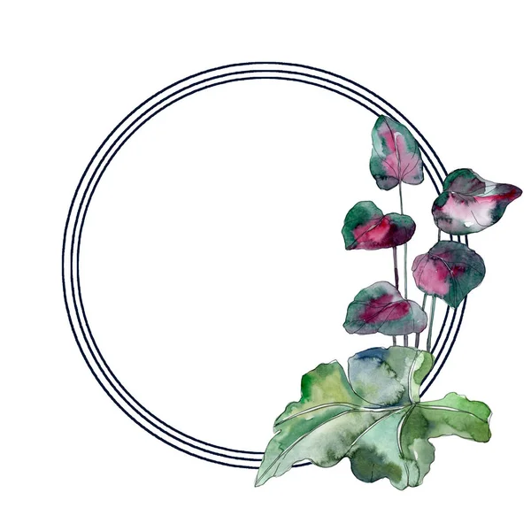 Green leaf plant botanical garden foliage. Exotic tropical hawaiian summer. Watercolor background illustration set. Watercolour drawing fashion aquarelle isolated. Frame border ornament square.