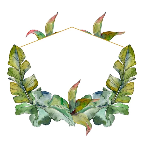 Green leaf plant botanical garden foliage. Exotic tropical hawaiian summer. Watercolor background illustration set. Watercolour drawing fashion aquarelle isolated. Frame border ornament square.