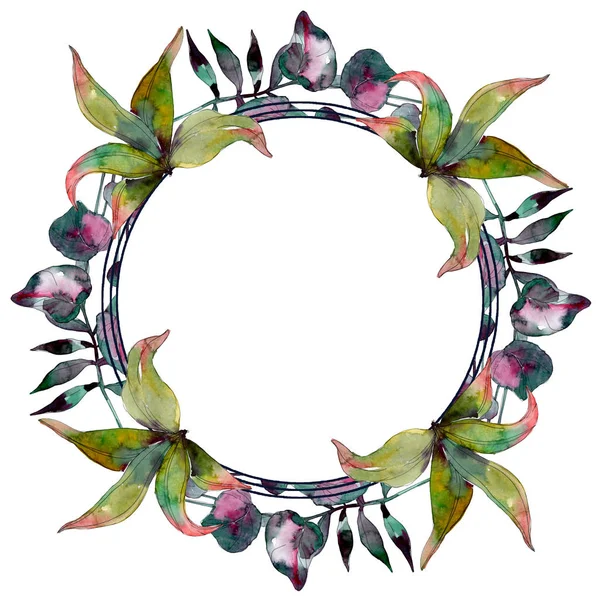 Green leaf plant botanical garden foliage. Exotic tropical hawaiian summer. Watercolor background illustration set. Watercolour drawing fashion aquarelle isolated. Frame border ornament square.