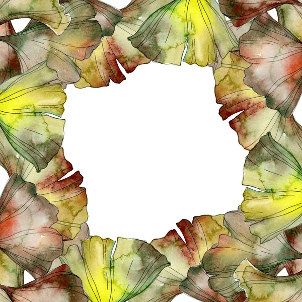 緑と黄色のイチョウの Biloba 紅葉水彩背景イラスト セット コピーの領域でフレーム枠飾り — ストック写真