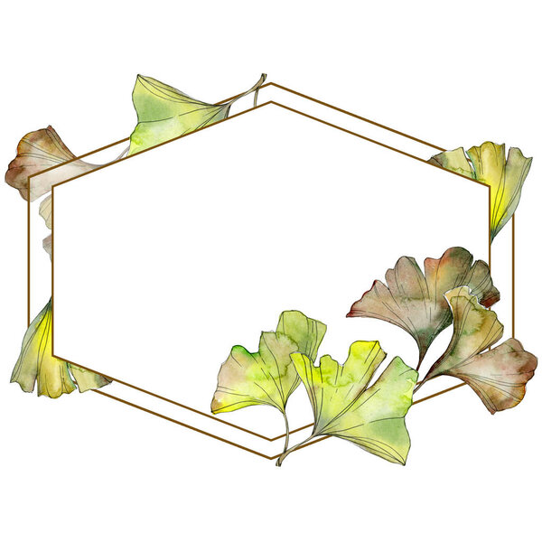 Зеленый и желтый джинкго билоба акварельный фоновый набор иллюстраций. Украшение рамки с копировальным пространством
.