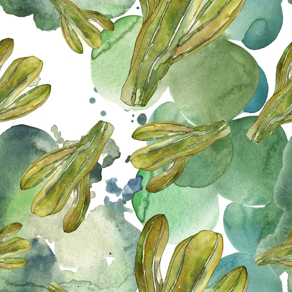 Zöld Kaktusz Virág Botanikai Virág Vad Tavaszi Vadvirág Elszigetelt Akvarell — Stock Fotó