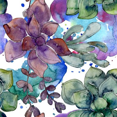 Egzotik tropik hawaiian botanik succulents. Suluboya resim kümesi. Sorunsuz arka plan deseni. Kumaş duvar kağıdı yazdırma doku.