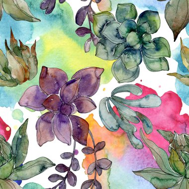 Egzotik tropik hawaiian botanik succulents. Suluboya resim kümesi. Sorunsuz arka plan deseni. Kumaş duvar kağıdı yazdırma doku.