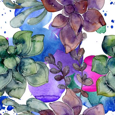 Egzotik tropik hawaiian botanik succulents. Suluboya resim kümesi. Sorunsuz arka plan deseni. Kumaş duvar kağıdı yazdırma doku.