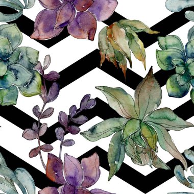 Egzotik tropik hawaiian botanik succulents. Suluboya resim kümesi. Sorunsuz arka plan deseni. Kumaş duvar kağıdı yazdırma doku.