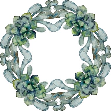 Egzotik tropik hawaiian botanik succulents. Suluboya arka plan illüstrasyon küme. Çerçeve kenarlığı süsleme kopya alanı ile.