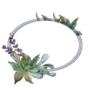Egzotik tropik hawaiian botanik succulents. Suluboya arka plan illüstrasyon küme. Çerçeve kenarlığı süsleme kopya alanı ile.