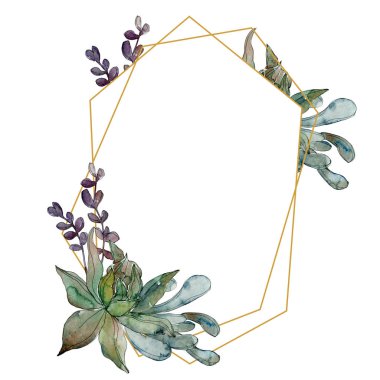 Egzotik tropik hawaiian botanik succulents. Suluboya arka plan illüstrasyon küme. Çerçeve kenarlığı süsleme kopya alanı ile.