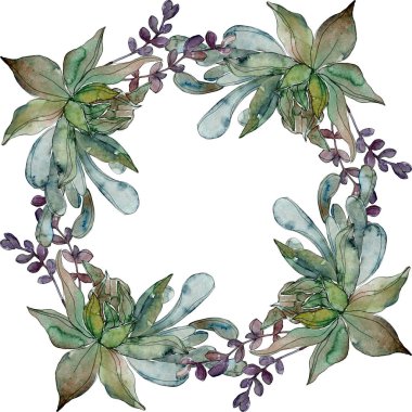 Egzotik tropik hawaiian botanik succulents. Suluboya arka plan illüstrasyon küme. Çerçeve kenarlığı süsleme kopya alanı ile.