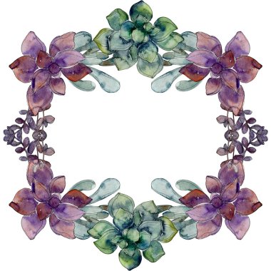 Egzotik tropik hawaiian botanik succulents. Suluboya arka plan illüstrasyon küme. Çerçeve kenarlığı süsleme kopya alanı ile.