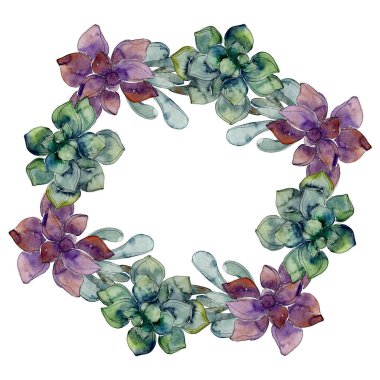 Egzotik tropik hawaiian botanik succulents. Suluboya arka plan illüstrasyon küme. Çerçeve kenarlığı süsleme kopya alanı ile.