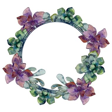 Egzotik tropik hawaiian botanik succulents. Suluboya arka plan illüstrasyon küme. Çerçeve kenarlığı süsleme kopya alanı ile.