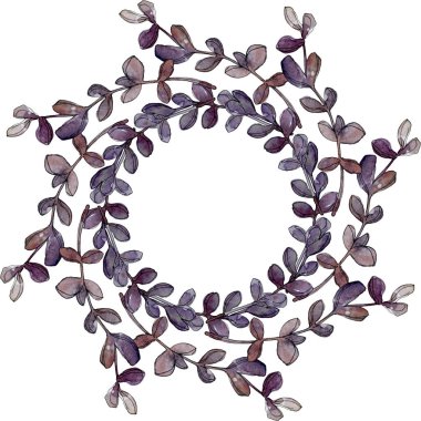 Egzotik tropik hawaiian botanik succulents. Suluboya arka plan illüstrasyon küme. Çerçeve kenarlığı süsleme kopya alanı ile.