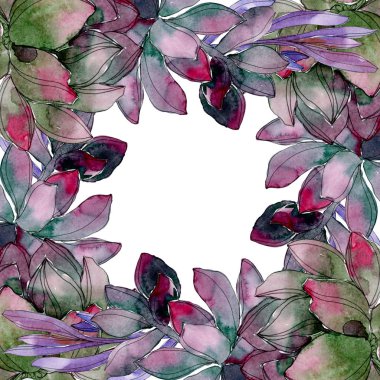 Etli botanik çiçek. Vahşi bahar yaprak izole kır çiçeği. Suluboya arka plan illüstrasyon küme. Suluboya çizim moda aquarelle izole. Çerçeve kenarlığı süsleme Meydanı.