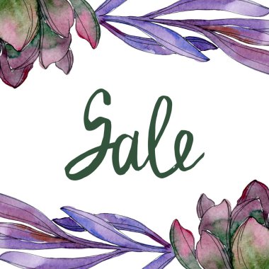 Etli botanik çiçek. Vahşi bahar yaprak izole kır çiçeği. Suluboya arka plan illüstrasyon küme. Suluboya çizim moda aquarelle izole. Çerçeve kenarlığı süsleme Meydanı.