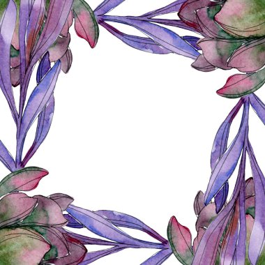 Etli botanik çiçek. Vahşi bahar yaprak izole kır çiçeği. Suluboya arka plan illüstrasyon küme. Suluboya çizim moda aquarelle izole. Çerçeve kenarlığı süsleme Meydanı.