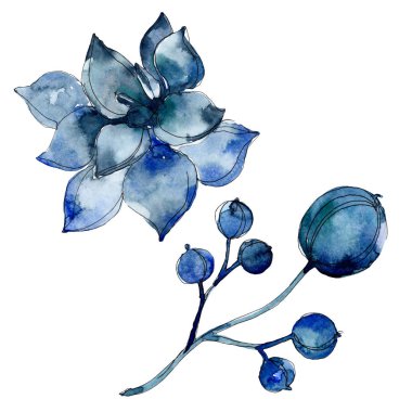 Etli botanik bitkiler. Suluboya arka plan illüstrasyon küme. İzole succulents resimde unsurlar.