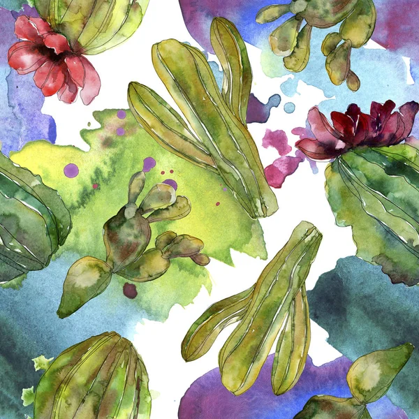 Green Cactus Floral Botanical Flower Wild Spring Wildflower Isolated Watercolor — Stock Photo, Image