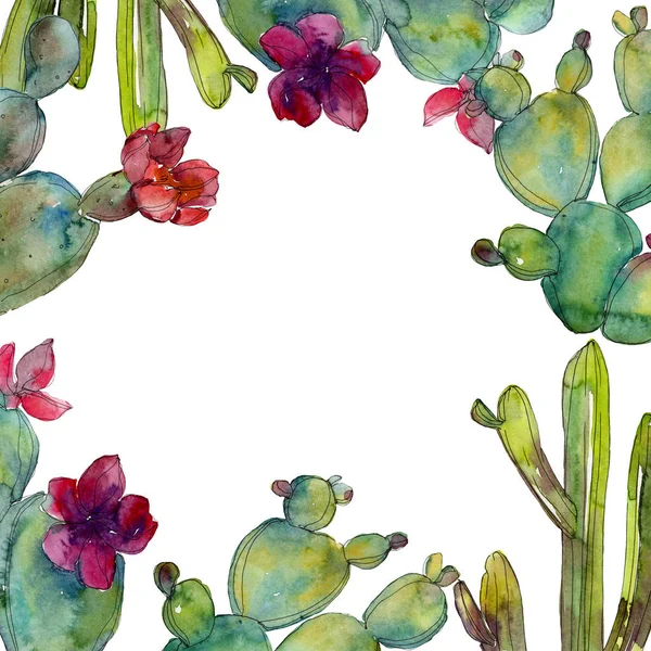 Sada Zelená Kaktusy Akvarel Pozadí Obrázku Frame Hranice Ornament Kopie — Stock fotografie