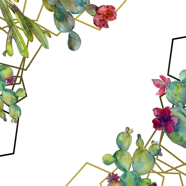 Groene Cactussen Aquarel Achtergrond Afbeelding Instellen Frame Grens Sieraad Met — Stockfoto