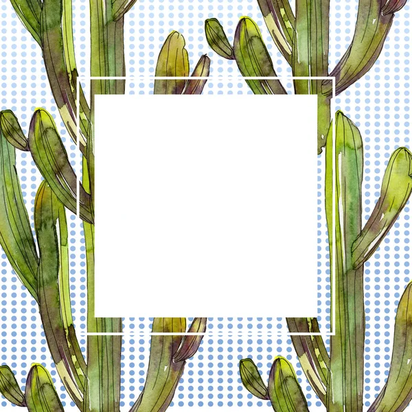Conjunto Ilustración Fondo Acuarela Cactus Verdes Marco Ornamento Borde Con — Foto de Stock