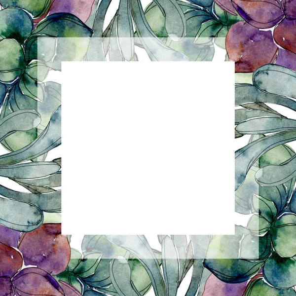 Exotic tropical hawaiian botanical succulents. Watercolor background illustration set. Frame border ornament with copy space.
