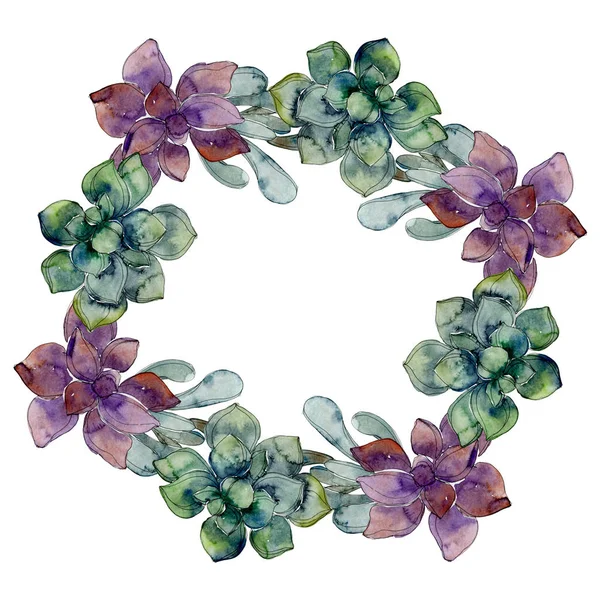 Exotic tropical hawaiian botanical succulents. Watercolor background illustration set. Frame border ornament with copy space.