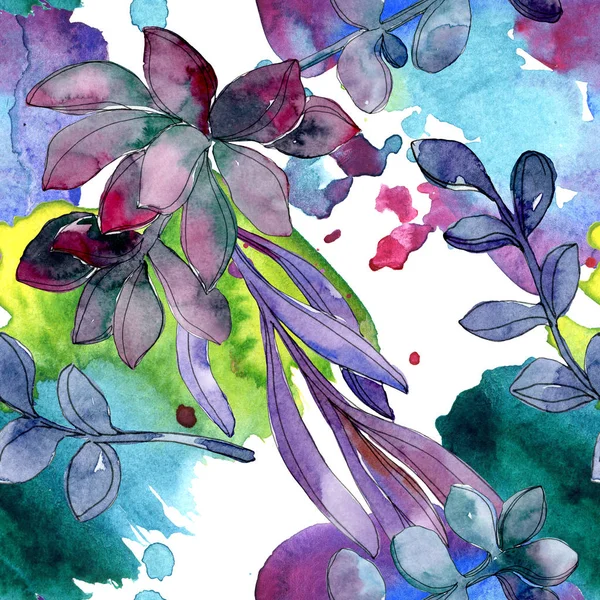 Fleur Botanique Florale Succulente Feuille Printemps Sauvage Isolée Ensemble Illustration — Photo