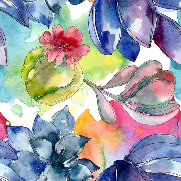 Sukkulente Botanische Blumen Aquarell Illustrationsset Vorhanden Nahtlose Hintergrundmuster Stoff Tapete — Stockfoto