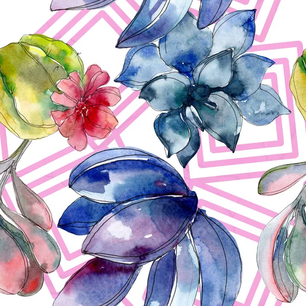Sukulentní Botanické Květin Sada Akvarel Ilustrace Vzor Bezešvé Pozadí Fabric — Stock fotografie