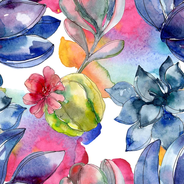 Fleurs Botaniques Succulentes Ensemble Illustration Aquarelle Modèle Fond Sans Couture — Photo