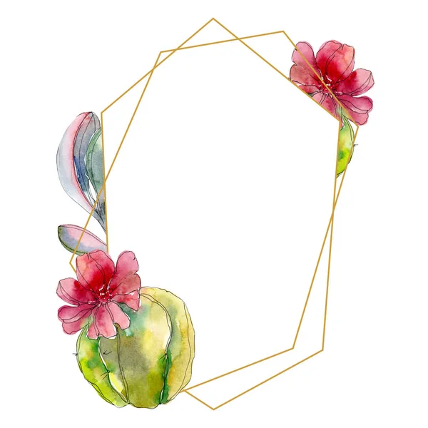 Succulent Botanical Flowers Watercolor Background Illustration Set Frame Border Ornament — Stock Photo, Image