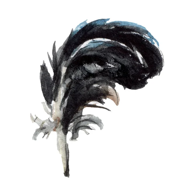 Plume Oiseau Bleu Noir Aile Isolée Illustration Fond Aquarelle Élément — Photo