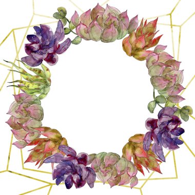 Egzotik tropik botanik succulents. Suluboya arka plan illüstrasyon küme. Çerçeve kenarlığı süsleme kopya alanı ile.