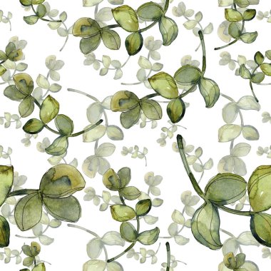 Egzotik tropik hawaiian botanik succulents. Suluboya resim kümesi. Sorunsuz arka plan deseni. Kumaş duvar kağıdı yazdırma doku.