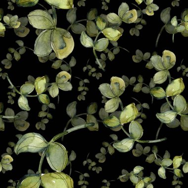 Egzotik tropik hawaiian botanik succulents. Suluboya resim kümesi. Sorunsuz arka plan deseni. Kumaş duvar kağıdı yazdırma doku.