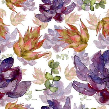 Egzotik tropik hawaiian botanik succulents. Suluboya resim kümesi. Sorunsuz arka plan deseni. Kumaş duvar kağıdı yazdırma doku.