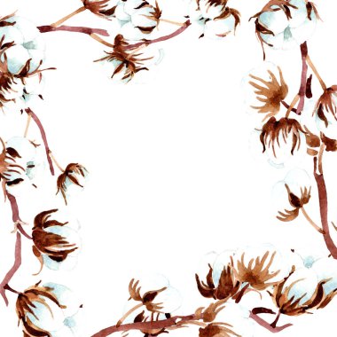 Cotton botanical flowers. Watercolor background illustration set. Frame border ornament. clipart