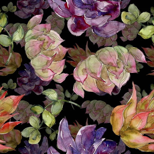 Exotic Tropical Hawaiian Botanical Succulents Watercolor Illustration Set Seamless Background — Stock Photo, Image