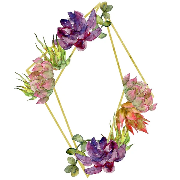 Fleurs Botaniques Succulentes Ensemble Illustration Fond Aquarelle Cadre Bordure Ornement — Photo
