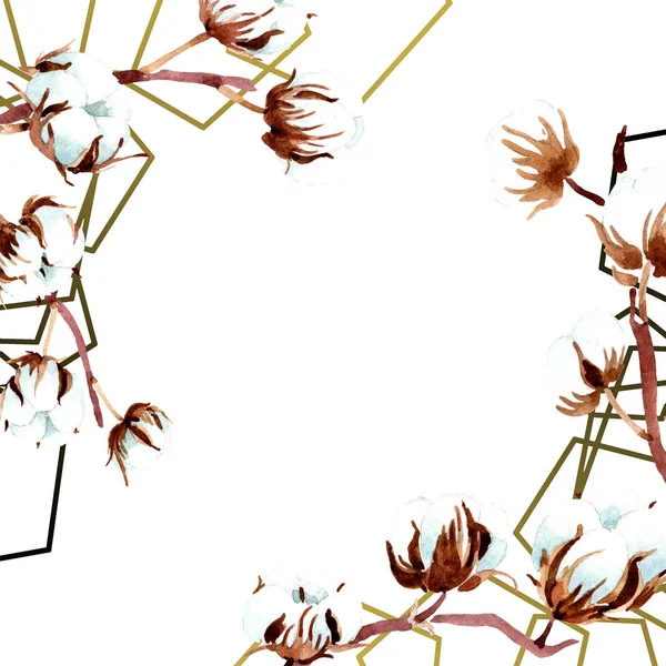 Fiori Botanici Cotone Acquerello Sfondo Illustrazione Set Ornamento Bordo Cornice — Foto Stock