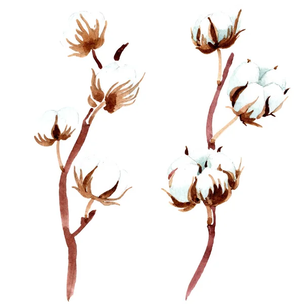 꽃입니다 수채화 그림입니다 절연된 — 스톡 사진
