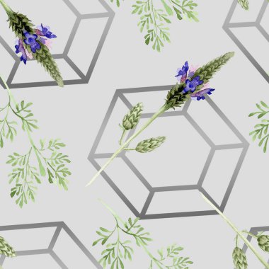 Mavi mor lavanta çiçeği. Vahşi bahar yaprak izole kır çiçeği. Suluboya resim kümesi. Suluboya çizim moda aquarelle. Sorunsuz arka plan deseni. Kumaş duvar kağıdı yazdırma doku.