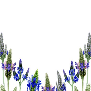 Blue violet lavender floral botanical flower. Wild spring leaf wildflower isolated. Watercolor background illustration set. Watercolour drawing fashion aquarelle. Frame border ornament square. clipart