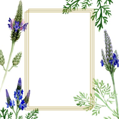 Mavi mor lavanta botanik çiçek. Vahşi bahar yaprak izole kır çiçeği. Suluboya arka plan illüstrasyon küme. Suluboya çizim moda aquarelle. Çerçeve kenarlığı süsleme Meydanı.