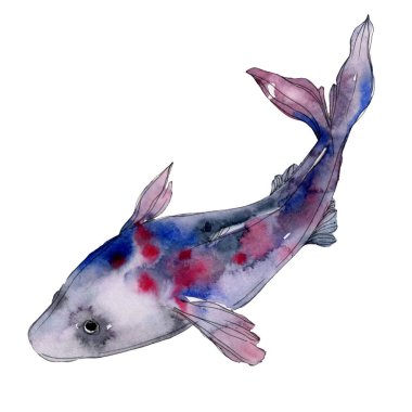 Benekli su sualtı renkli tropikal balık seti. Kızıldeniz ve egzotik balıkları içinde. Suluboya arka plan ayarlamak. Suluboya çizim moda aquarelle. İzole balık resim öğesi.