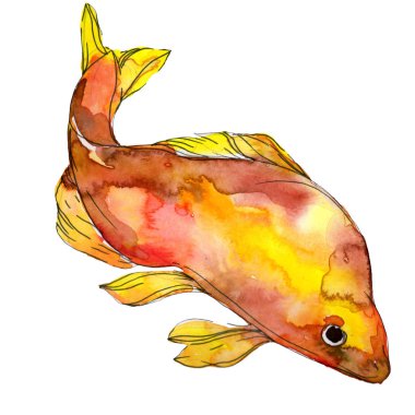 Benekli su sualtı renkli tropikal balık seti. Kızıldeniz ve egzotik balıkları içinde. Suluboya arka plan ayarlamak. Suluboya çizim moda aquarelle. İzole balık resim öğesi.